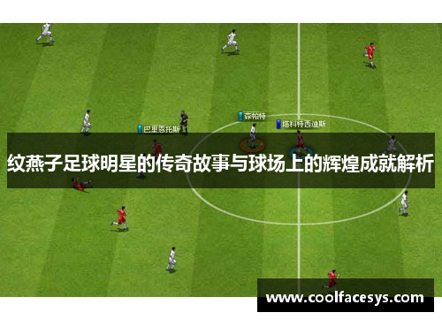 纹燕子足球明星的传奇故事与球场上的辉煌成就解析